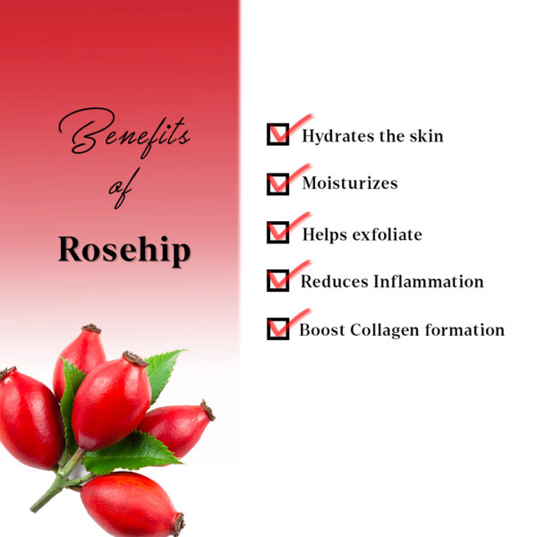AYA Rosehip Face Cream, 100 g | No Paraben, No Silicone, No Sulphate| - Image 4