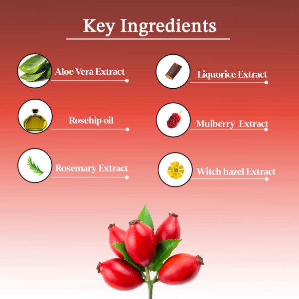 AYA Rosehip Face Cream, 100 g | No Paraben, No Silicone, No Sulphate| - Image 2