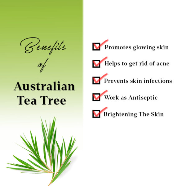 AYA Australian Tea Tree Face Mask, 120 g | No Paraben, No Silicone, No Sulphate | - Image 4